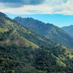 Kingston &amp; Blue Mountain Tour